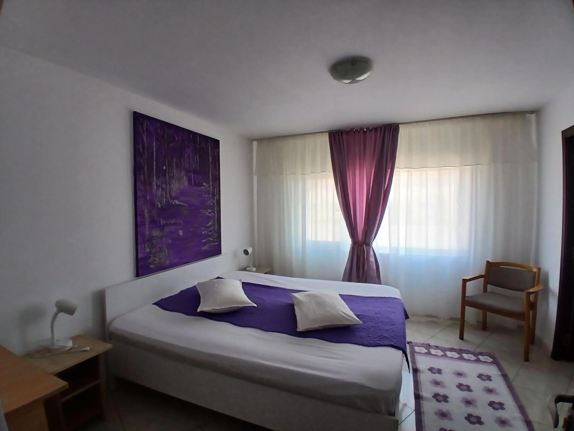 Casa Rustica Apart & Rooms Cîmpineanca Εξωτερικό φωτογραφία