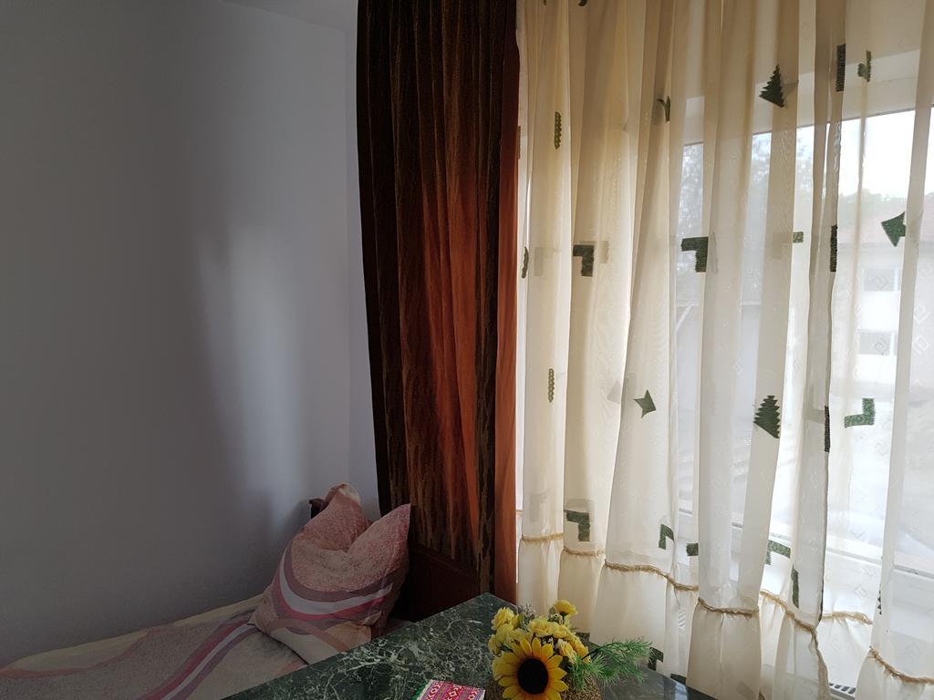 Casa Rustica Apart & Rooms Cîmpineanca Εξωτερικό φωτογραφία