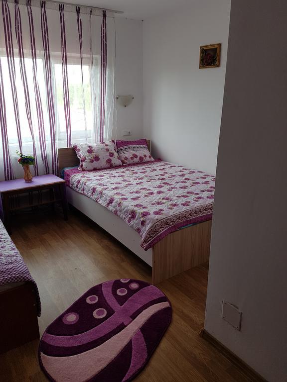 Casa Rustica Apart & Rooms Cîmpineanca Εξωτερικό φωτογραφία