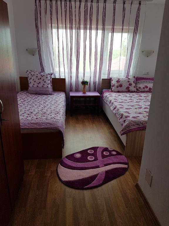 Casa Rustica Apart & Rooms Cîmpineanca Εξωτερικό φωτογραφία