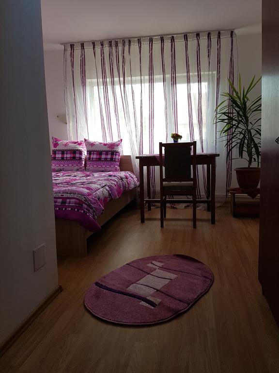 Casa Rustica Apart & Rooms Cîmpineanca Εξωτερικό φωτογραφία