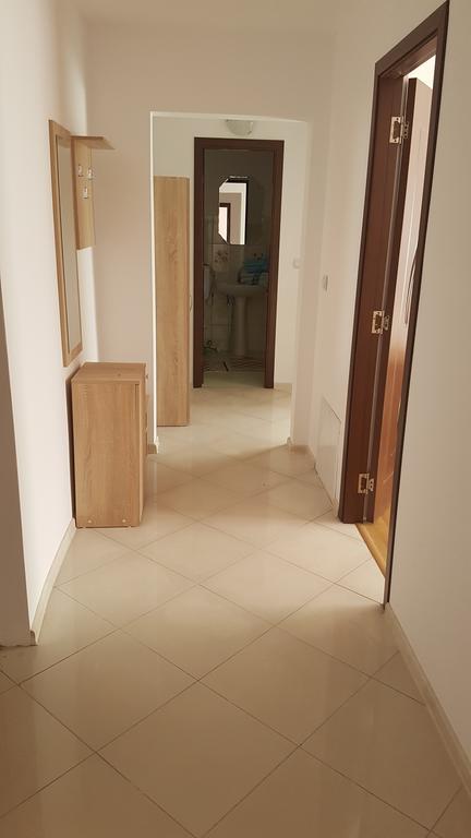 Casa Rustica Apart & Rooms Cîmpineanca Εξωτερικό φωτογραφία