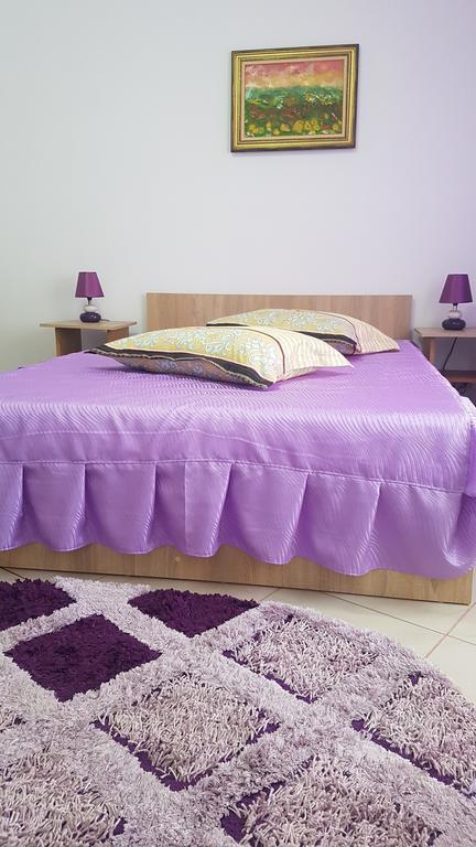 Casa Rustica Apart & Rooms Cîmpineanca Εξωτερικό φωτογραφία